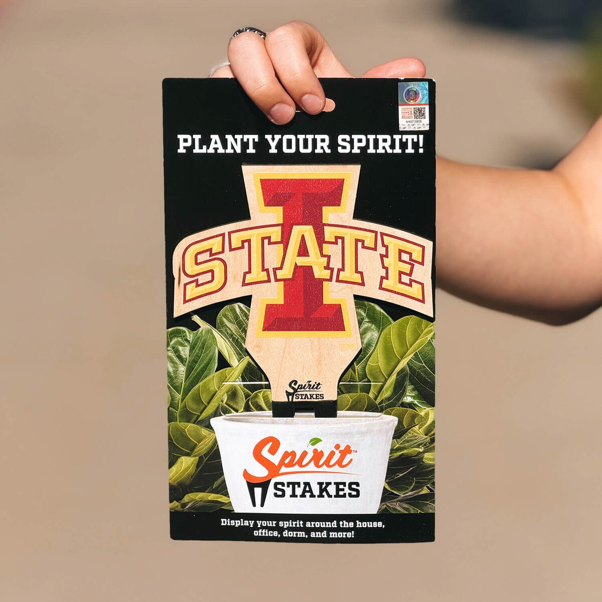 I-State Cardinal-Gold Spirit Stakes Medium 6.5-in x 5.5-in